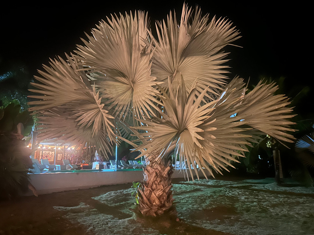 Kalkonu Travel-Ciudad Colon必去景点