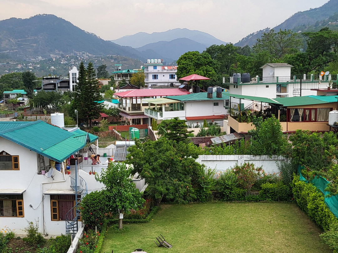 Hotel Spring Birds主图