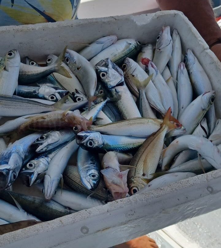 Samos Fishing Trips景点图片
