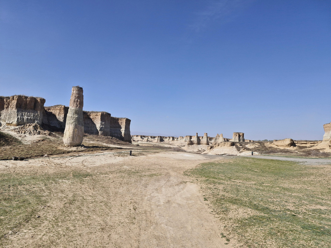 Datong Forest-大同市必去景点