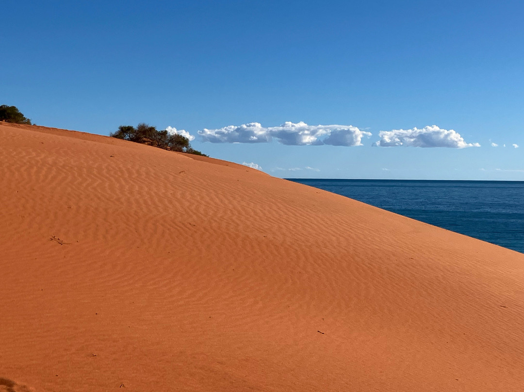 Wildsights-德纳姆必去景点