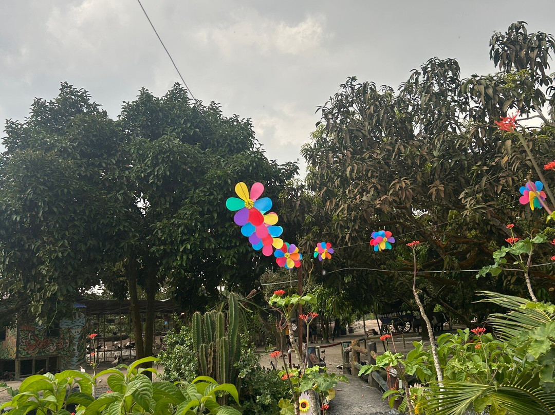 Desaru Fruit Farm-哥打丁宜必去景点