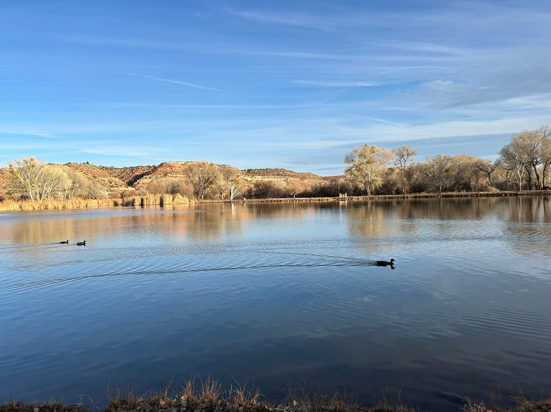 Dead Horse Ranch State Park-Cottonwood必去景点