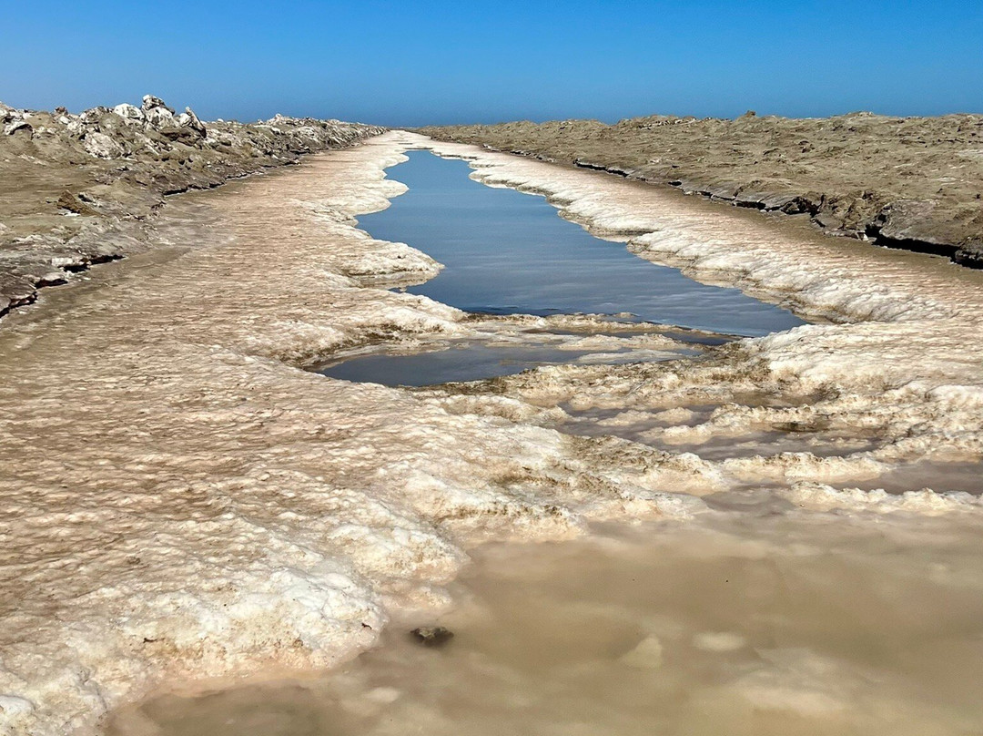 Dorob National Park-Gobabeb必去景点