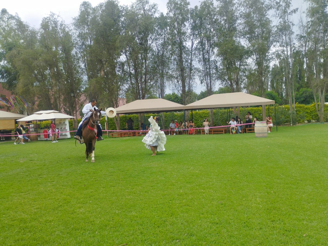 Tacama-伊卡必去景点