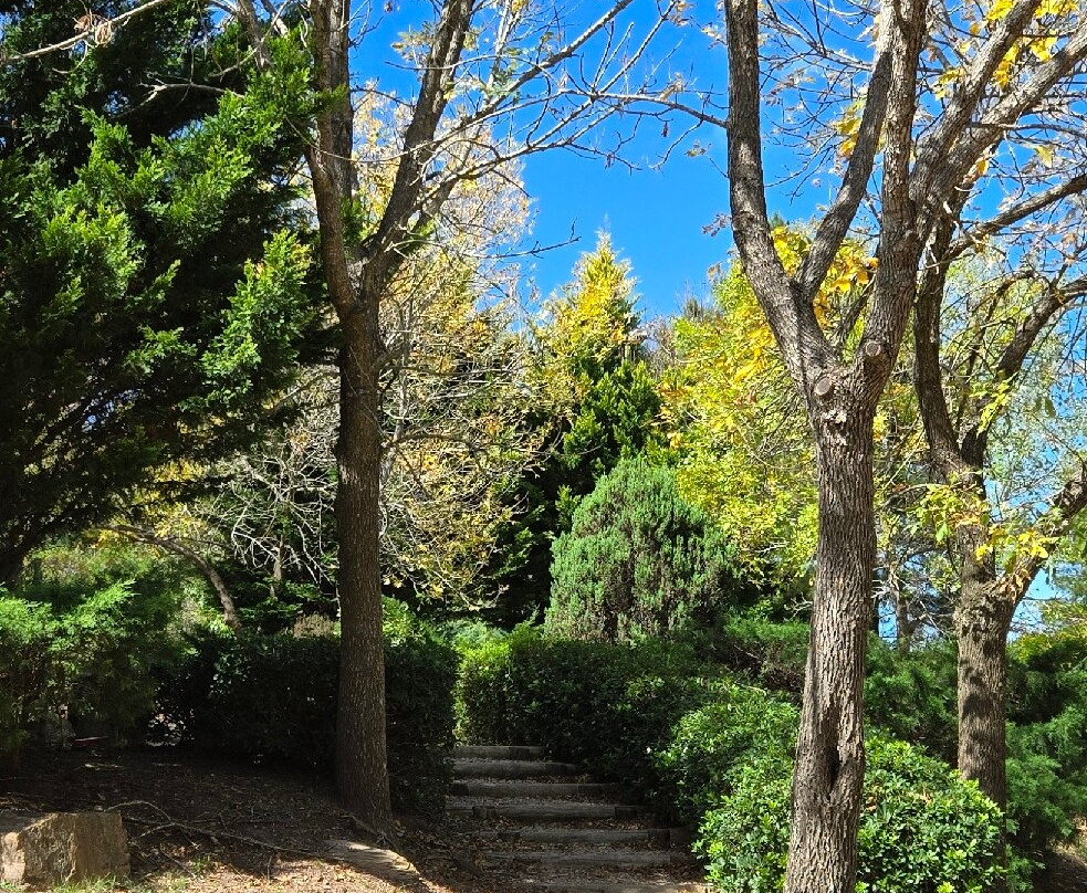 Jardín Japones Punta-Maldonado必去景点