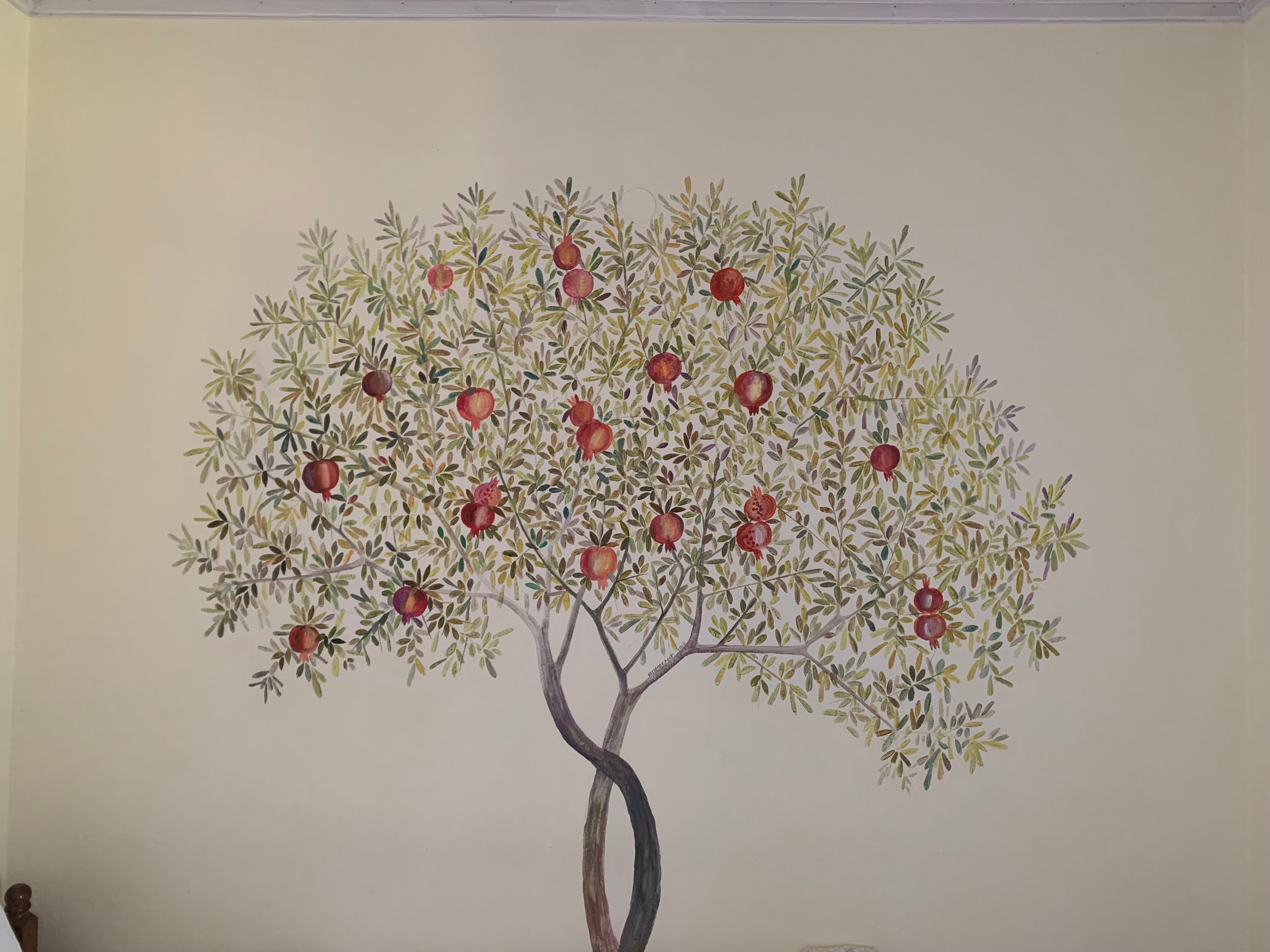 Pansion Matoula-官方