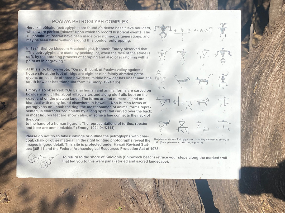 船难海滩-拉奈市必去景点