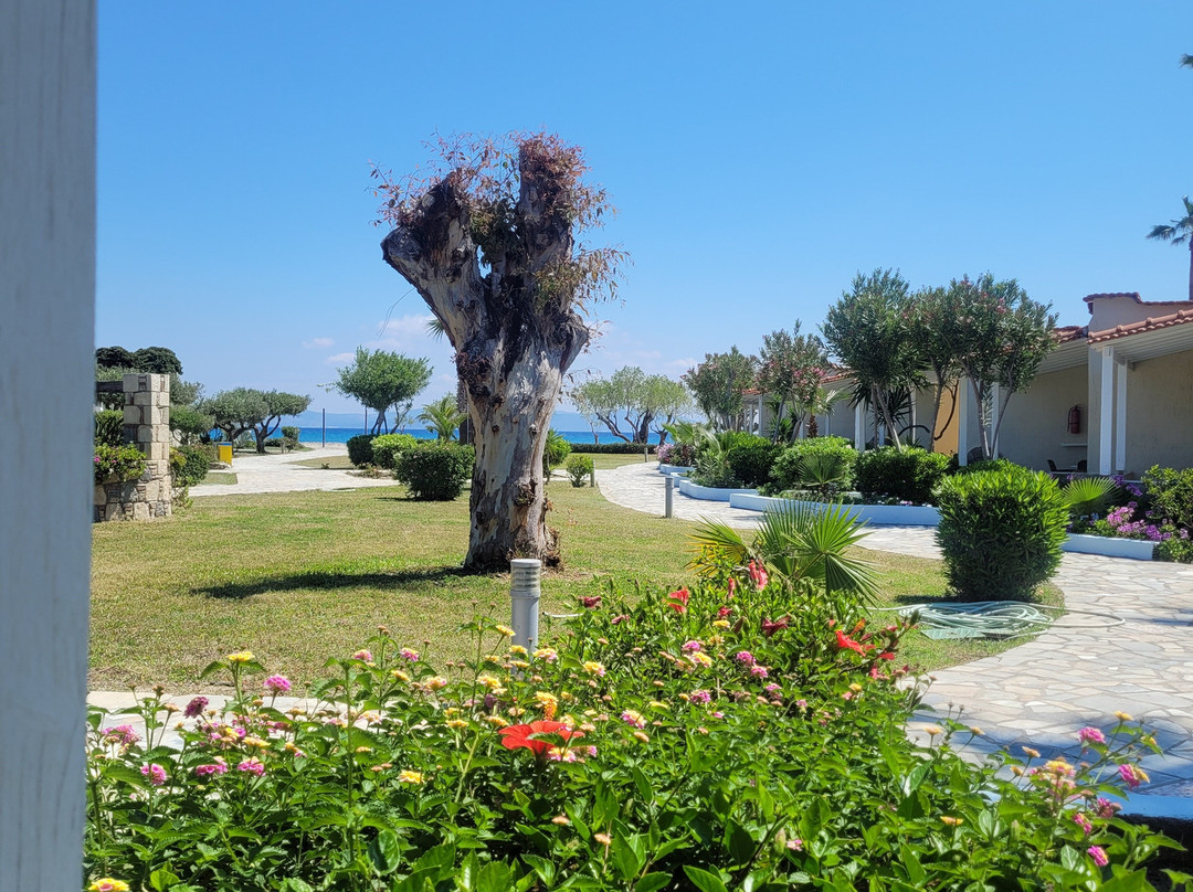 亚特兰蒂斯酒店主图