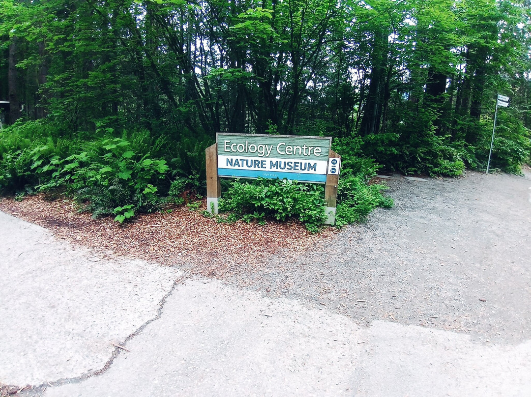 Lynn Canyon Ecology Centre-北温哥华必去景点