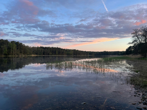 Moose Safari-赫尔辛基必去景点
