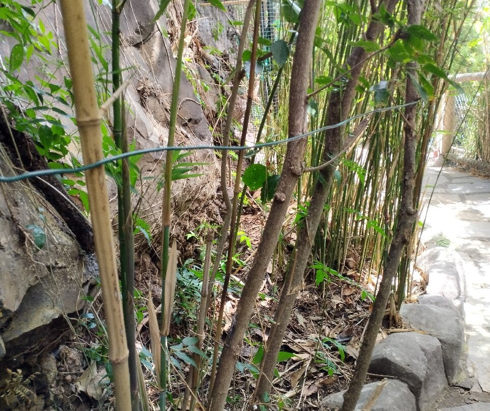 Maroparque Isla de La Palma景点图片