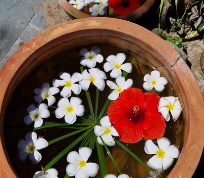 Halu Vietnam Tours-胡志明市必去景点