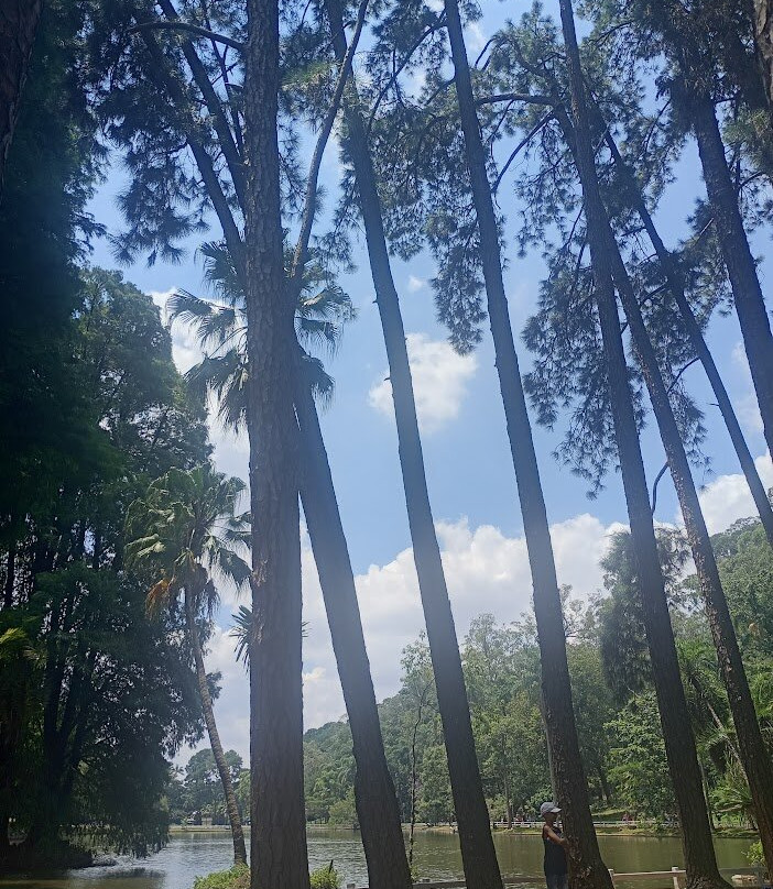 Parque Estadual Cantareira - Núcleo Pedra Grande-圣保罗必去景点