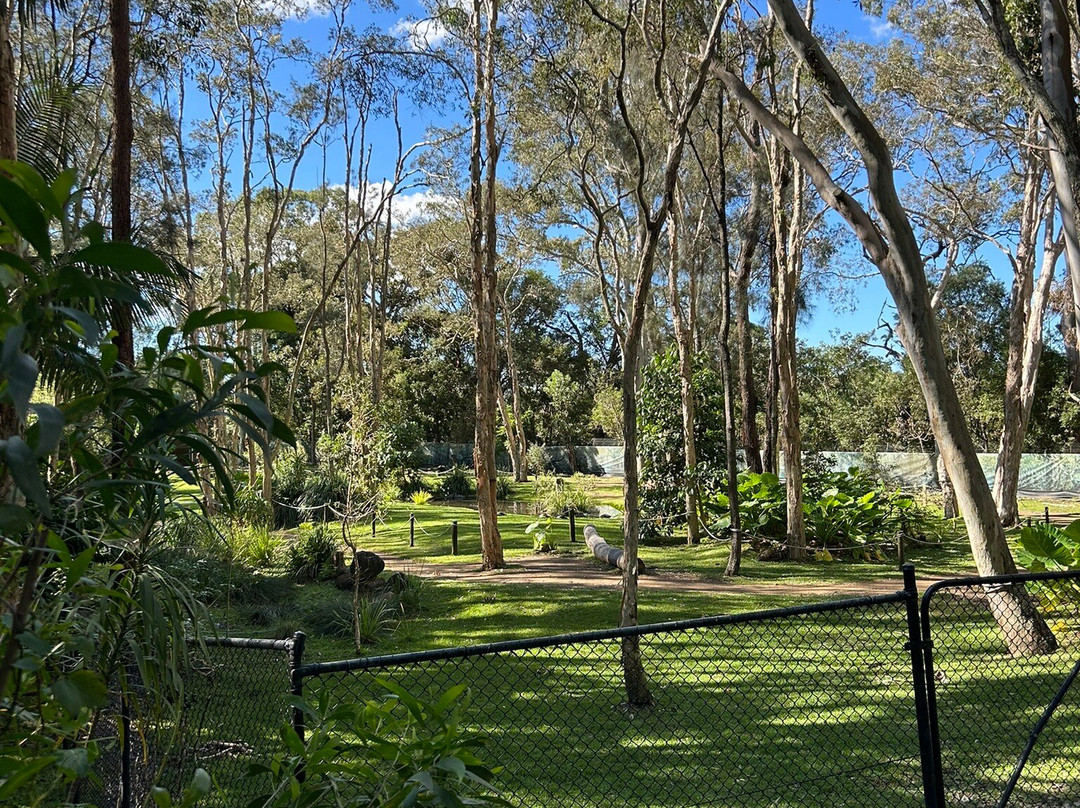 David Fleay Wildlife Park-West Burleigh必去景点
