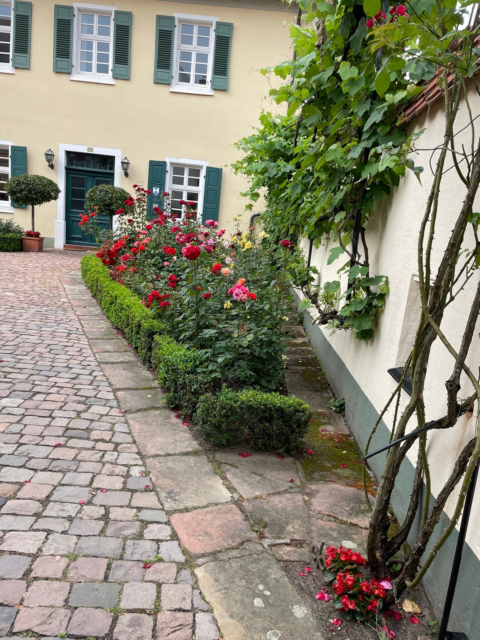 Steinhaeuser Hof-官方