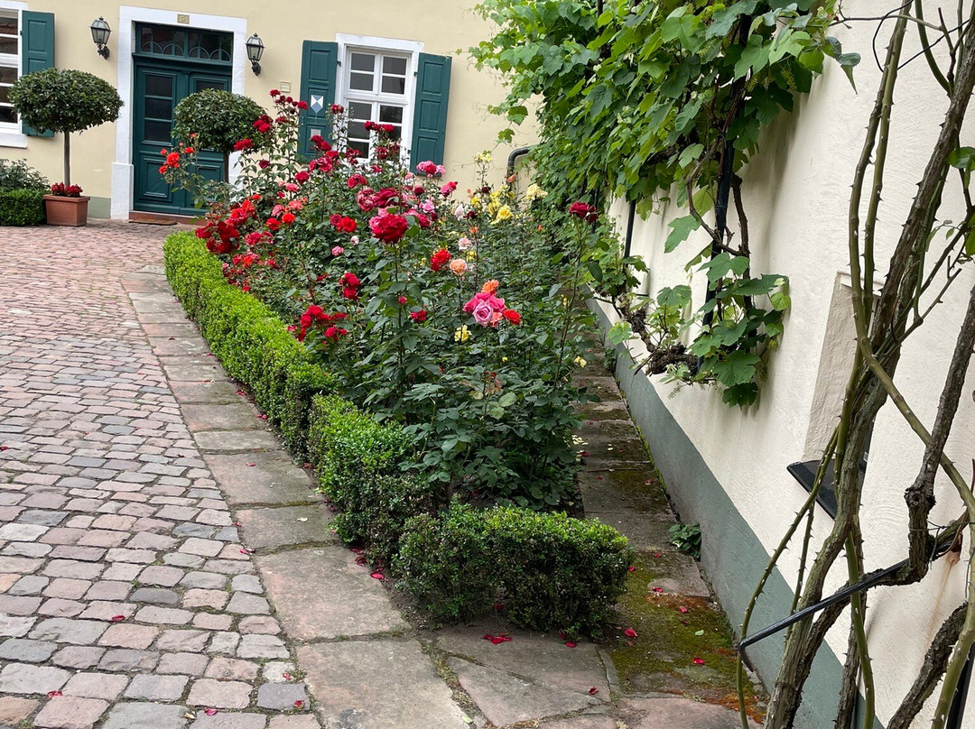 Steinhaeuser Hof主图