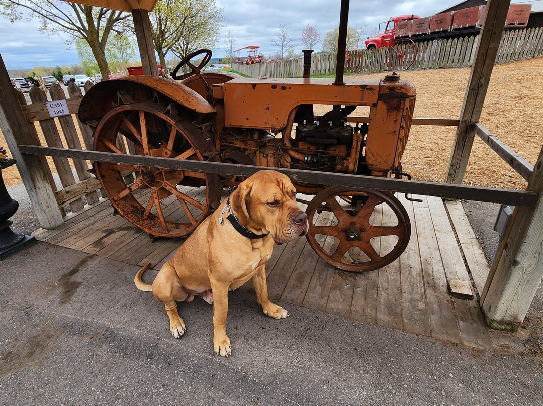 Springridge Farm-Milton必去景点