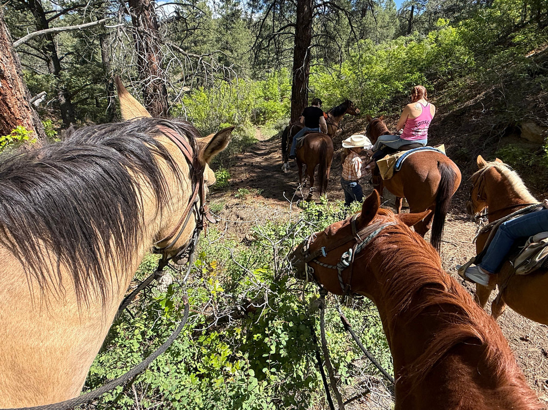 Over the Hill Outfitters-杜兰戈必去景点