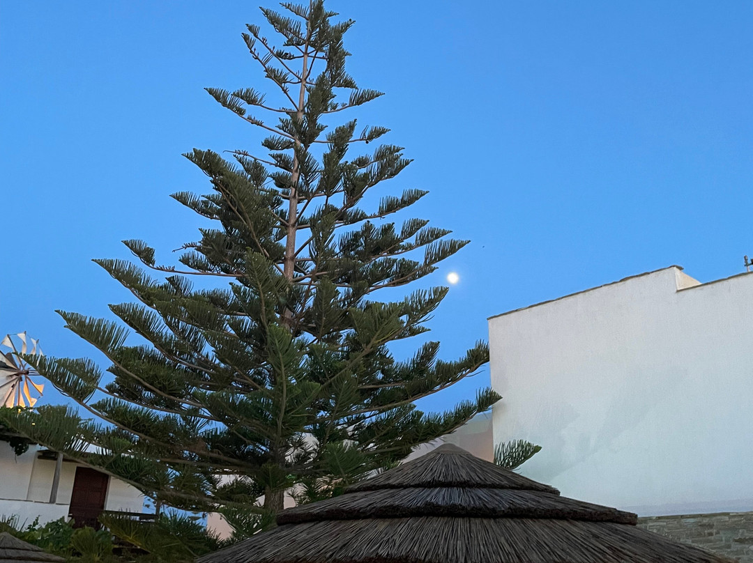 Anemomilos Hotel Naxos主图