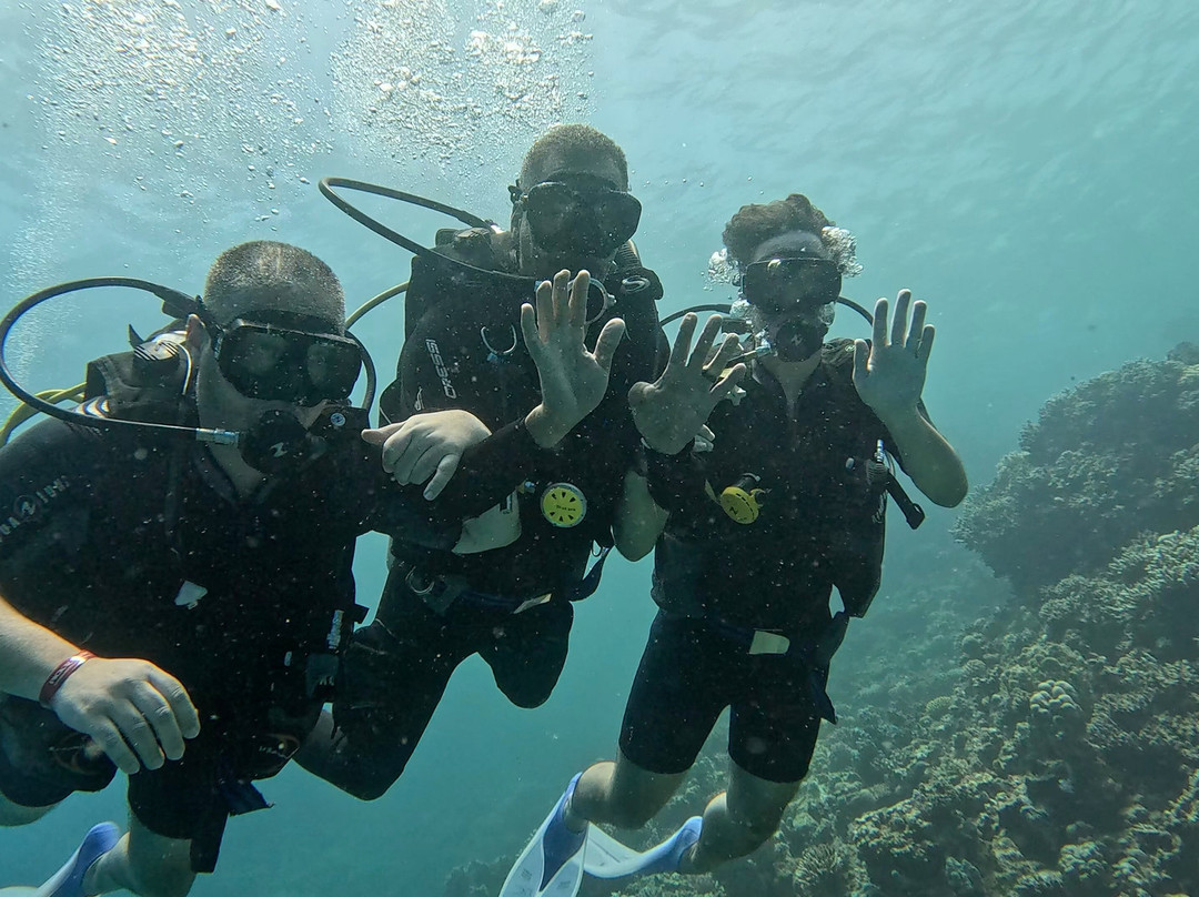 Dive Club Port Ghalib & Marsa Alam Diving Center-马萨阿拉姆必去景点