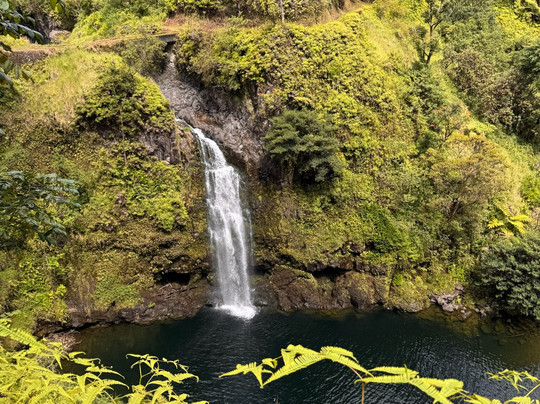 Sandy Cheeks Tours-马卡瓦必去景点