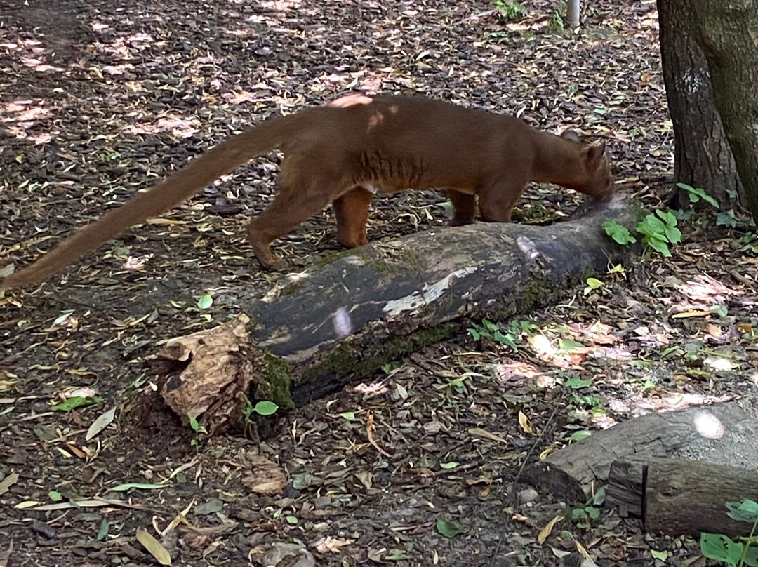 Bioparc Genève Pierre Challandes-Bellevue必去景点