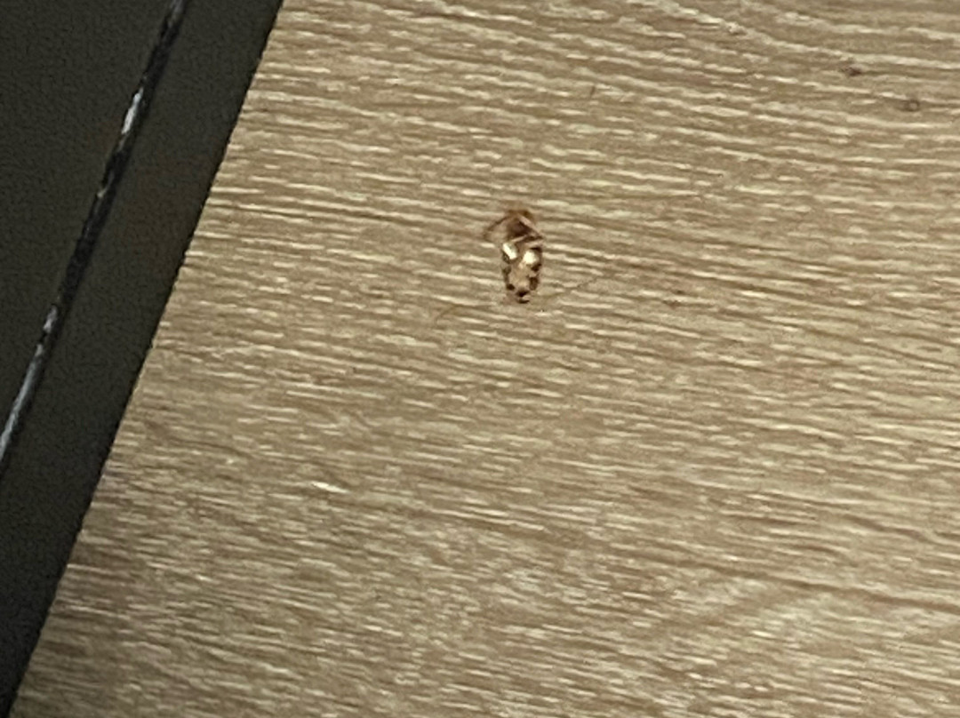 Quality Inn & Suites Statesboro主图