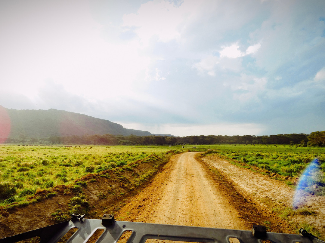 Mufasa Tours and Travels景点图片