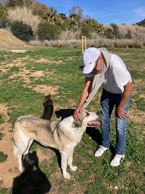 Triple A Marbella Animal Shelter-马贝拉必去景点