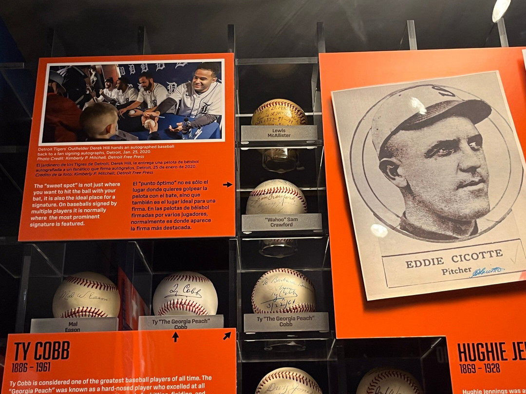 大湍城公共博物馆-大急流市必去景点