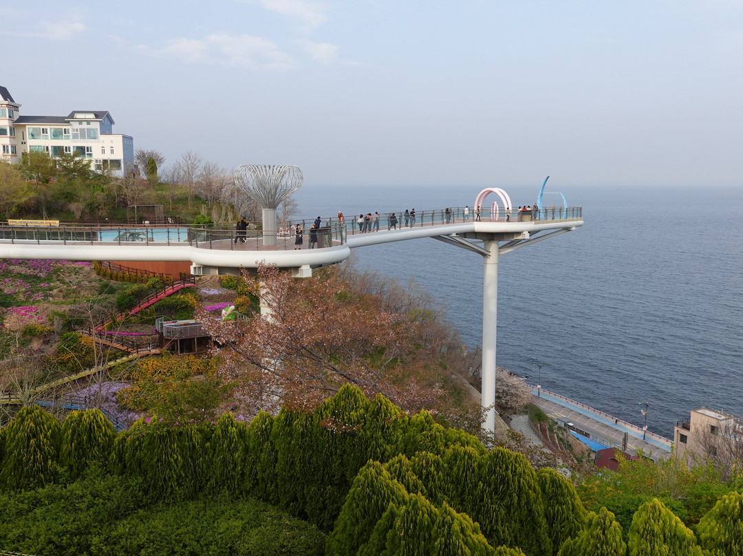 Dojjaebigol Sky Valley-东海市必去景点