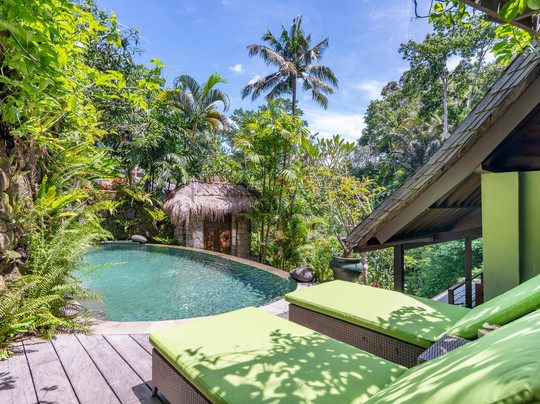 Lumina Wellness Retreat