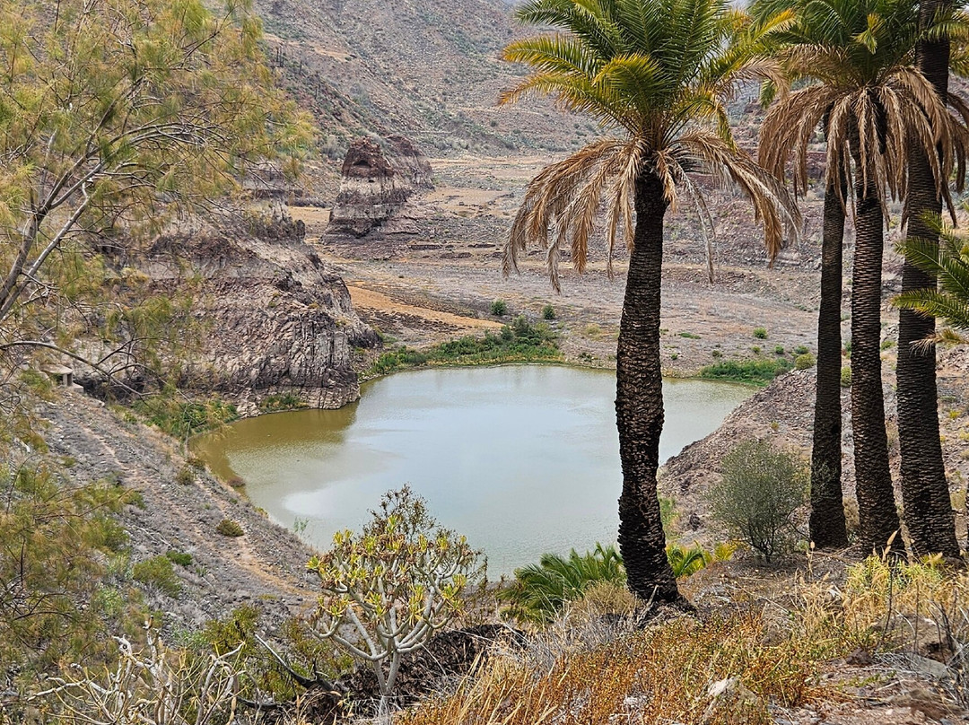 Mirador La Sorrueda-Santa Lucía de Tirajana必去景点