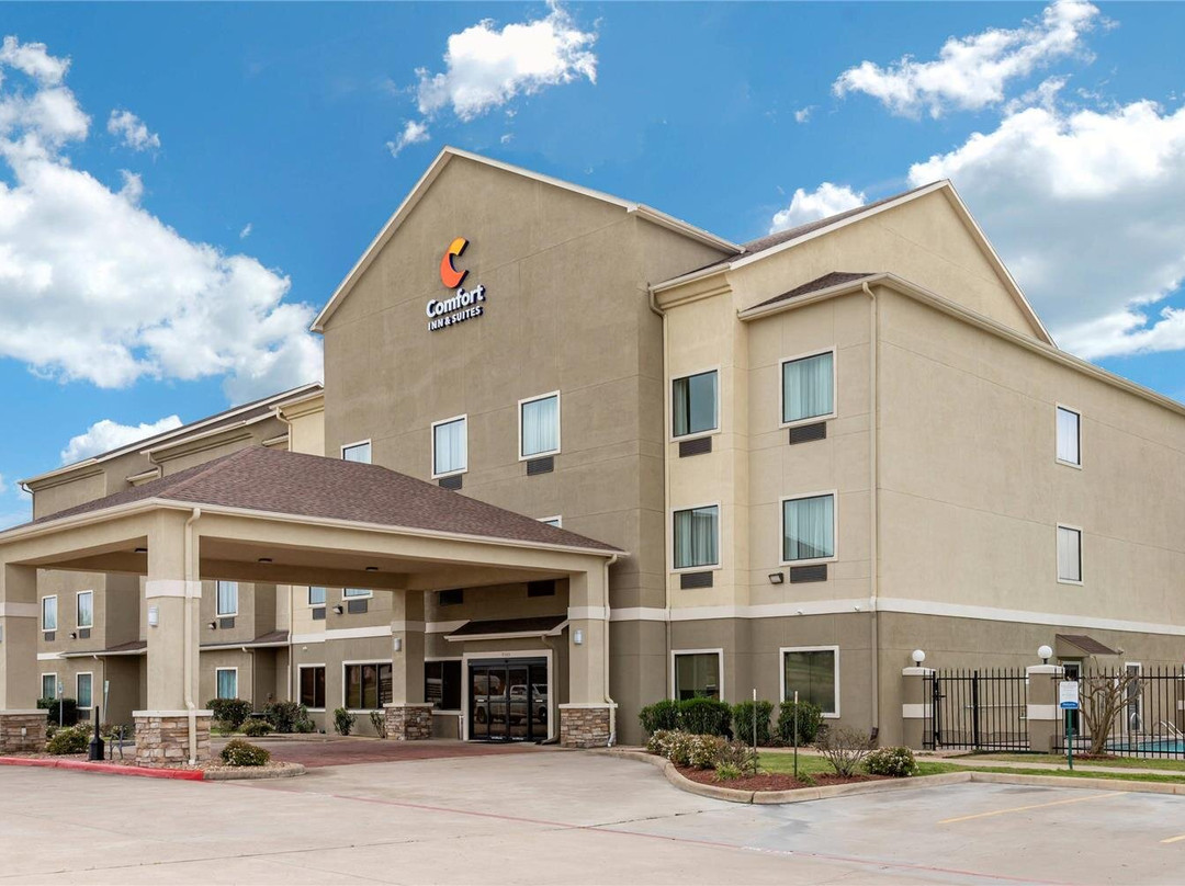 Anderson酒店住宿-Comfort Inn & Suites Navasota
