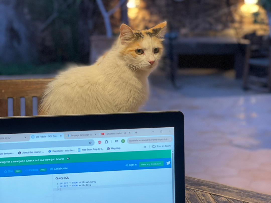 Auberge De La Plage Sidi Kaouki主图