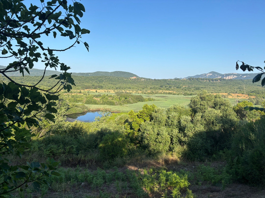 X Adventure Club-科孚市必去景点