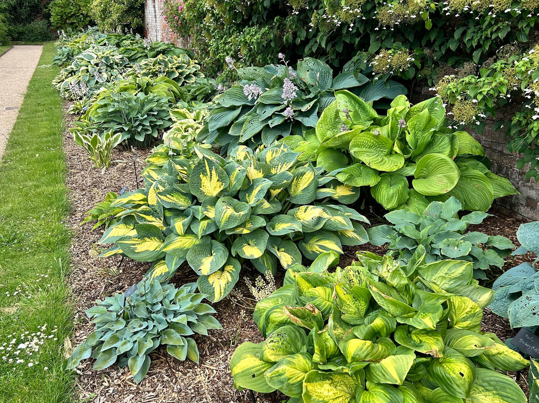 Somerleyton Hall Gardens-Somerleyton必去景点