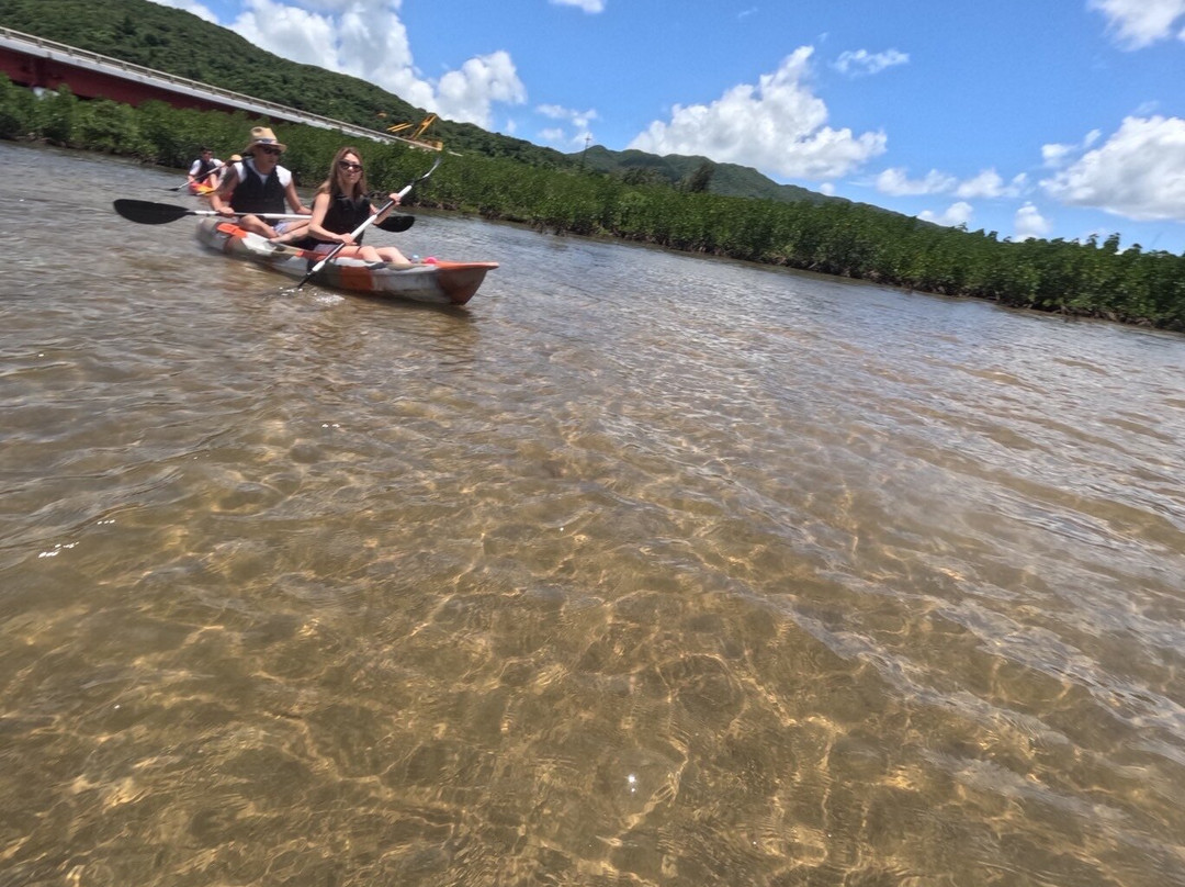 IRIOMOTE ADVENTURE PiPi-竹富町西表岛必去景点
