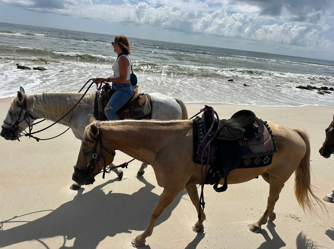 Equestrian Adventures of Florida-代托纳比奇必去景点