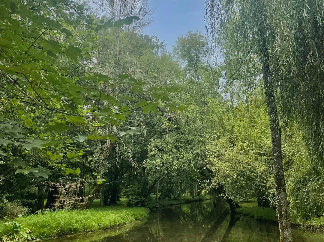 Chateau de Beaulon-Saint-Dizant-du-Gua必去景点