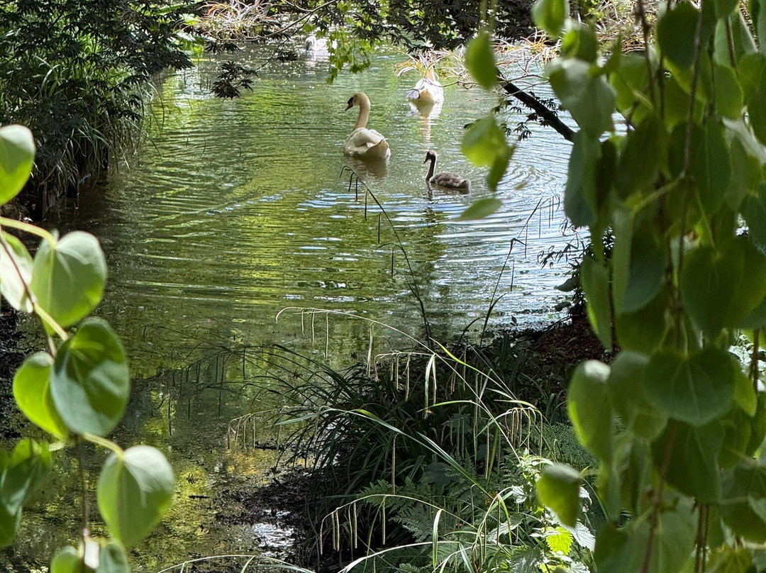 Thenford Arboretum-班伯里必去景点
