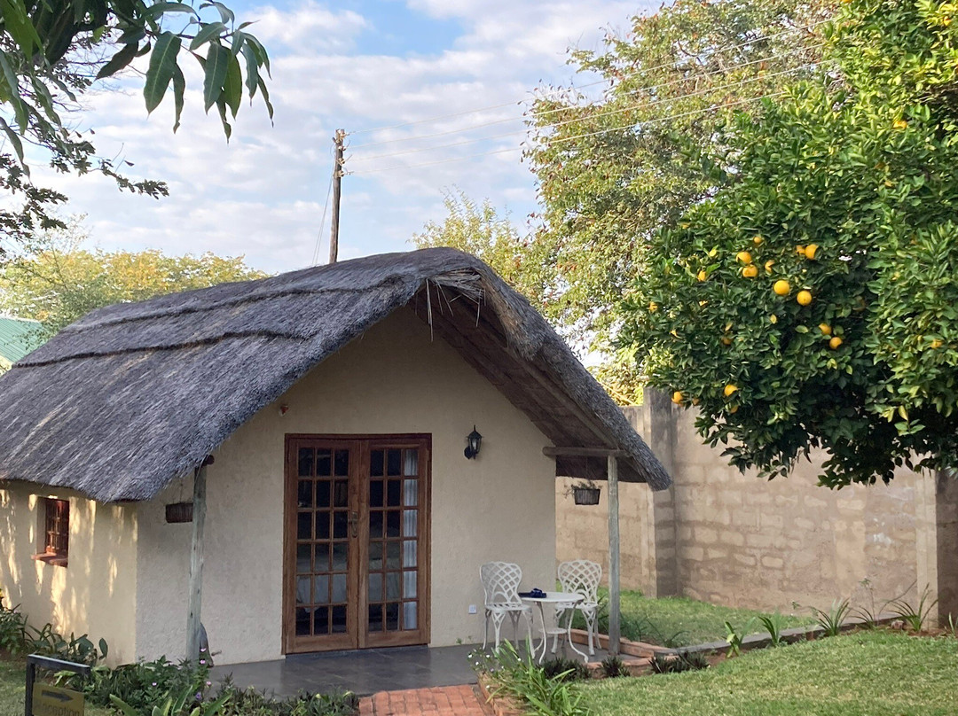 The Little Outlook主图