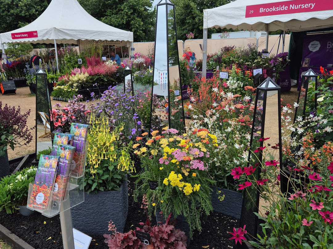 Hampton Court Flower Show-East Molesey必去景点