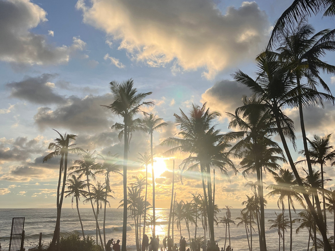 Ayu Lanka Holidays-佩拉德尼亚必去景点