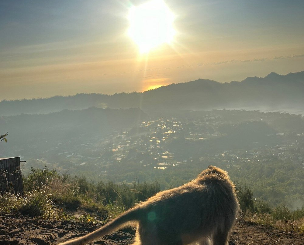 Kintamani Jeep-Songan必去景点