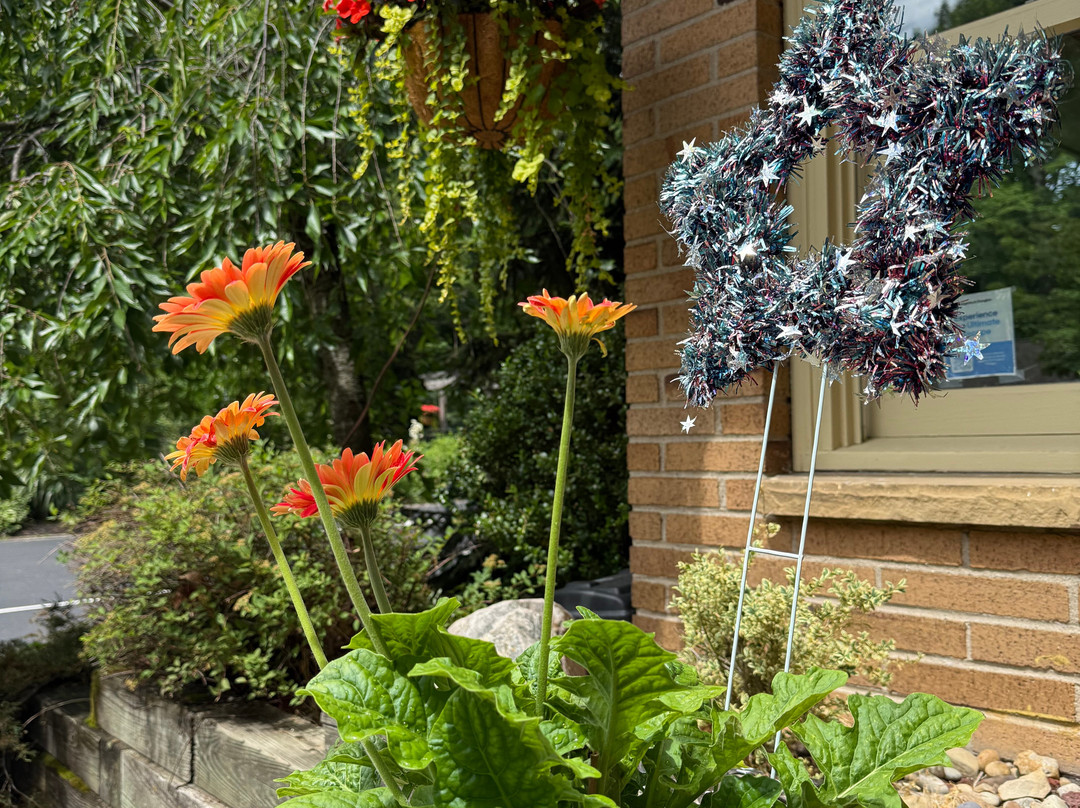 The Saugatuck Retro Resort Motel主图