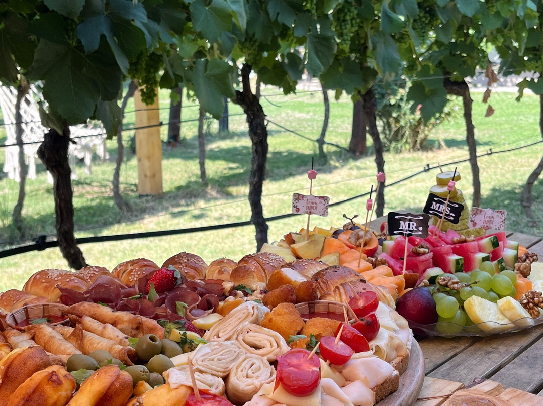 Monte Grande Winery-波德戈里察必去景点