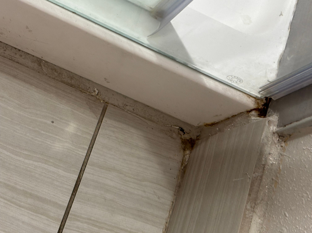 奥尔巴尼万豪酒店主图