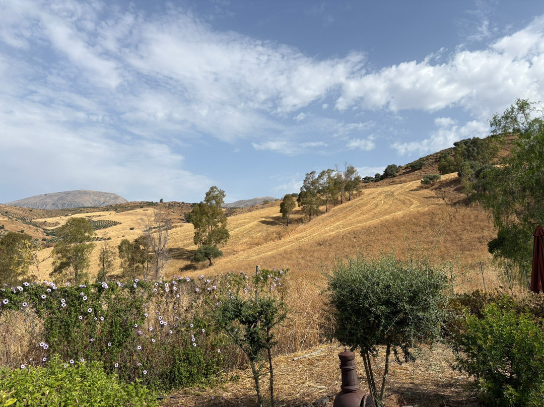 巴尔韦德庄园酒店主图